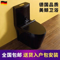 German whale bathroom Nordic style personalized toilet mute deodorant super swirl black pumping water color toilet