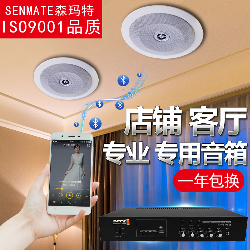 Senmaet Bluetooth Suction Top Style Sound Hanging Wall Wall-mounted Speaker Waterproof Horn Living Room Shop Supermarket Special Acoustics