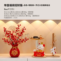 Raiders Fugubuka Catal Cat