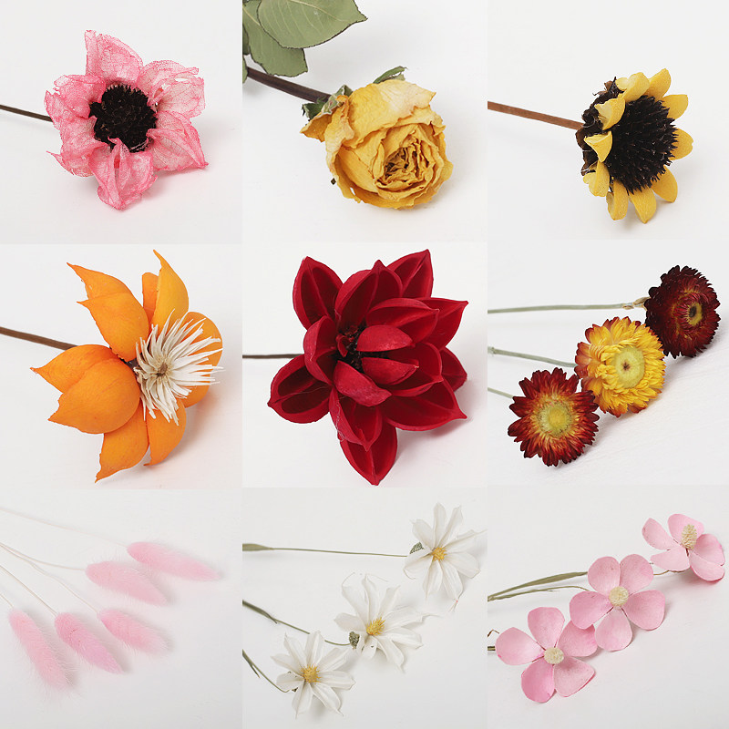 ins Nordic Wind natural dry flowers bouquet Cotton Eugalie small daisy Genuine Flowers Living-room Decoration Pendulum