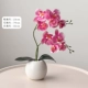 Темно -розовый Phalaenopsis 2+ваза [подарочный камень] [99%моделирование ✅ нет запаха]
