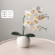White Phalaenopsis 2+ваза [подарочный камень] [99%моделирование ✅ нет запаха]