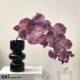 Черные три волны вазы+фиолетовый фалаенопсис