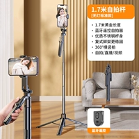 Металлический, 1.7м, дистанционное управление