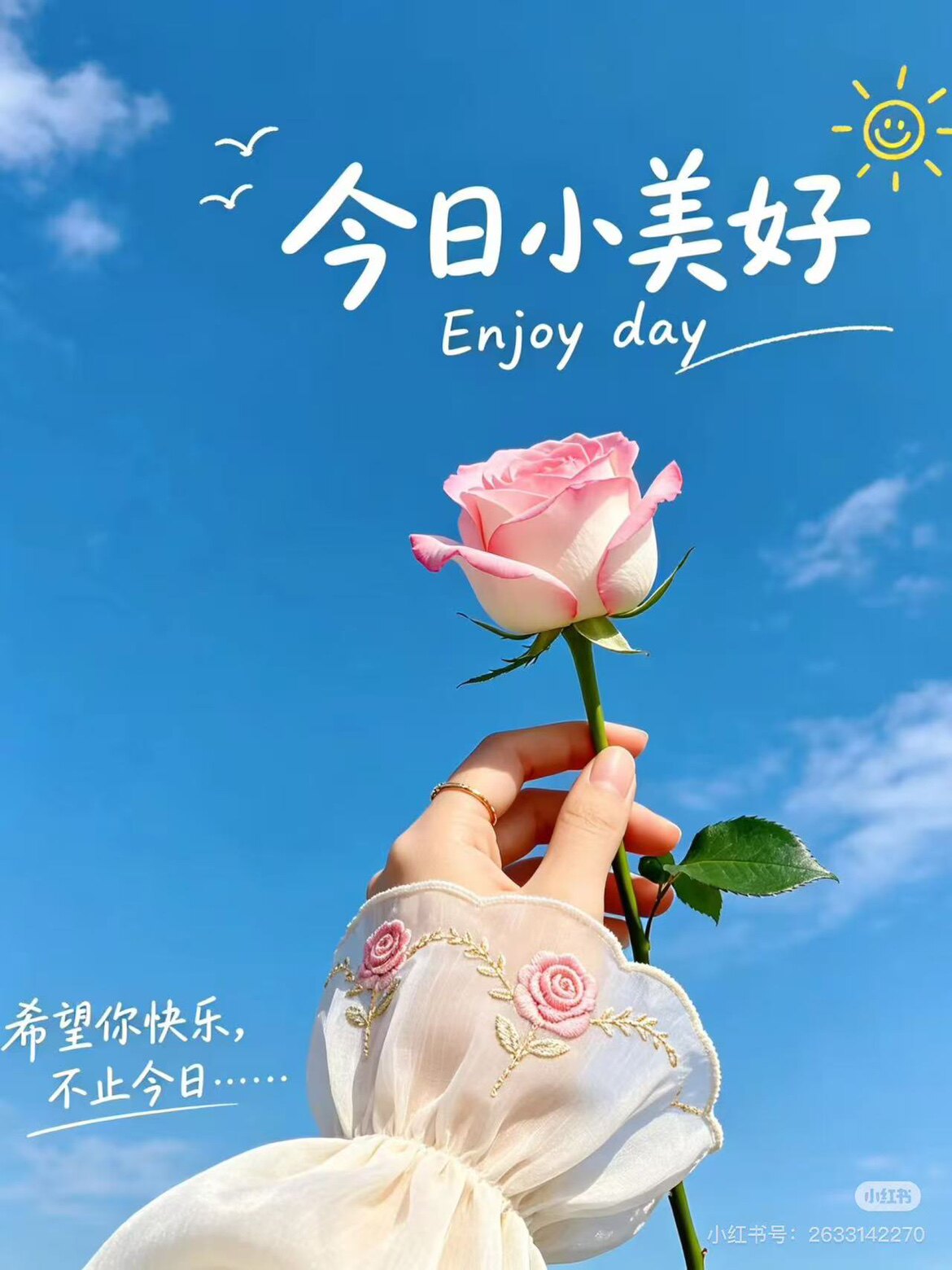 大小姐日记