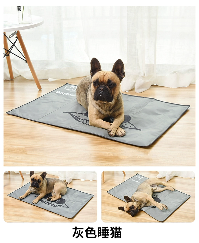 Pet mat con chó băng ngủ với mùa hè làm mát mèo thảm không thấm nước và dễ dàng để làm sạch mat ngủ mat - Cat / Dog hàng ngày Neccessities