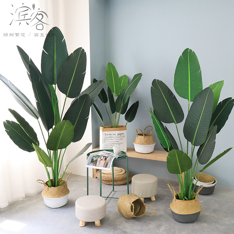 Large Nordic simulation plant floor-to-ceiling green plant ornaments Fake traveler Banana Tree Bonsai living room potted simulation flower decoration