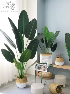 Large Nordic simulation plant landing bird of paradise bonsai interior decoration fake potted plant green plant ornaments traveler banana tree