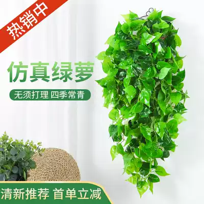 Interior decoration hanging wall green planting simulation hanging basket gold Ge fake flower vine hanging plant hanging orchid Vine green leaf hanging