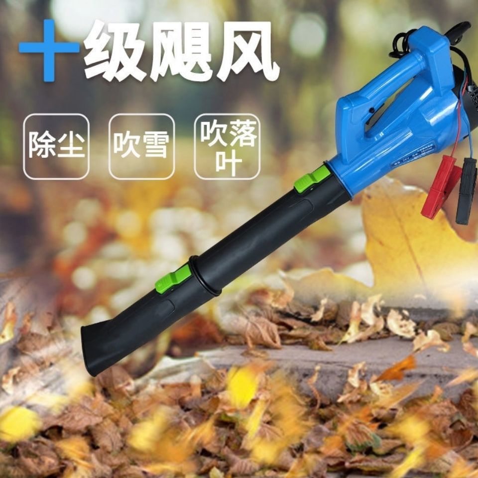 Wireless storm blower blower dust machine hair dryer portable high-power blowing snow and dust with dust removal 220v strong