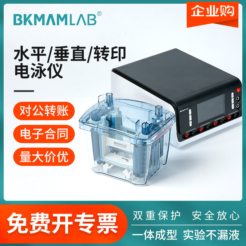 比克曼生物电泳仪实验室水平垂直转印电泳仪WB实验琼脂糖凝胶电泳