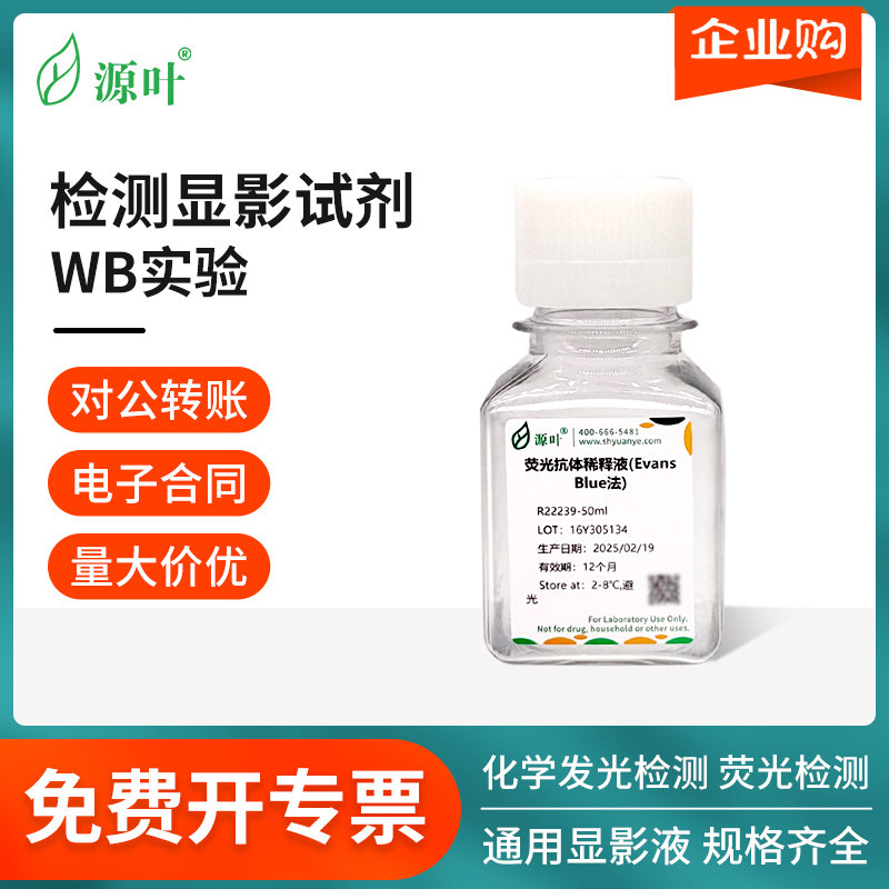 源叶试剂特超敏ECL化学发光底物荧光抗体稀释液通用显影定影液WB