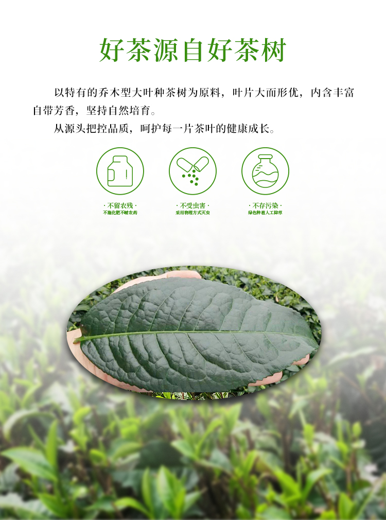 英红9号 英德红茶 100g*2袋 图3