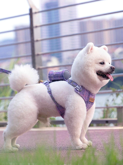 Truelove Dog Leash Small Dog Vest Style Dog Walking Leash Pet Teddy Bichon Harness Dog Chain