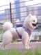 Truelove Dog Leash Small Dog Vest Style Dog Walking Leash Pet Teddy Bichon Harness Dog Chain