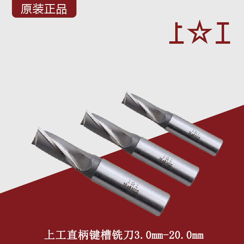 Upper Work Straight Shank Keyway Milling Cutter Standard Series Two Blades High Speed Mesh Straight Shank Keyway Milling Cutter HSS 3 0mm-20mm