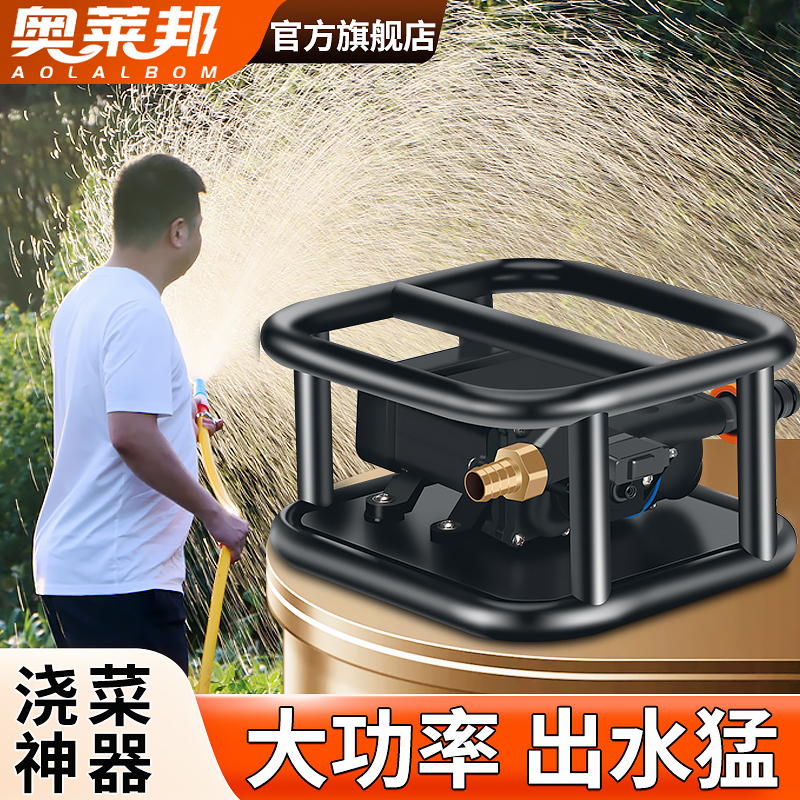 Vegetable Watering Device, Rechargeable Water Pump, Agricultural Irrigation Electric Household Water Pump, 24V Dual Motor, 3m Suction