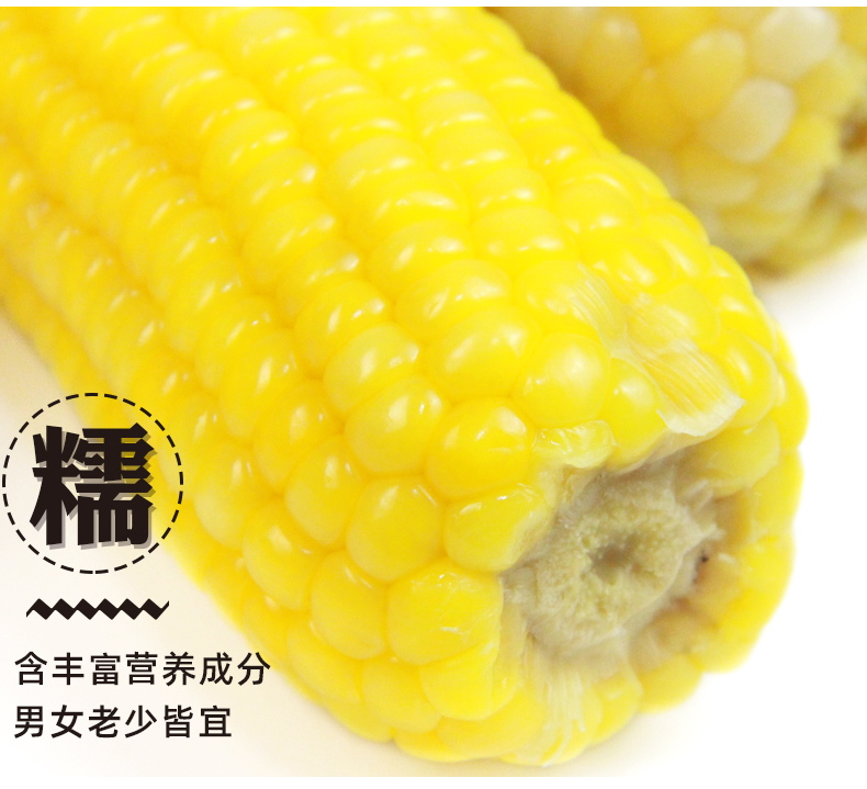 东北即食新鲜甜糯玉米真空300g*8穗