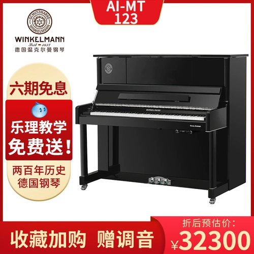 Новая вертикальная пианированная модель Winkelmann/Winkerman Smart Model AI-MT-12388
