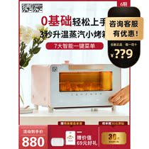 Japan SURE Ishizaki Hideer STO-S02 Multifunctional Micro Steam Mini Electric Oven Home Small Fully Automatic