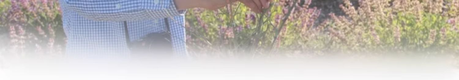 Anius肯园鹿女花园胸部护理保养按摩油紧实肌肤招桃花亮白肌肤