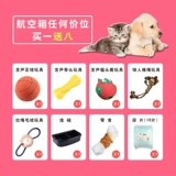 Портативный чемодан для выхода на улицу, сумка, домашний питомец, кот