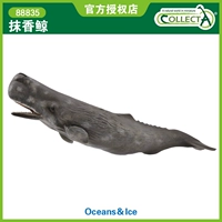 Британские коллекции я, ты, он, он модель морских животных