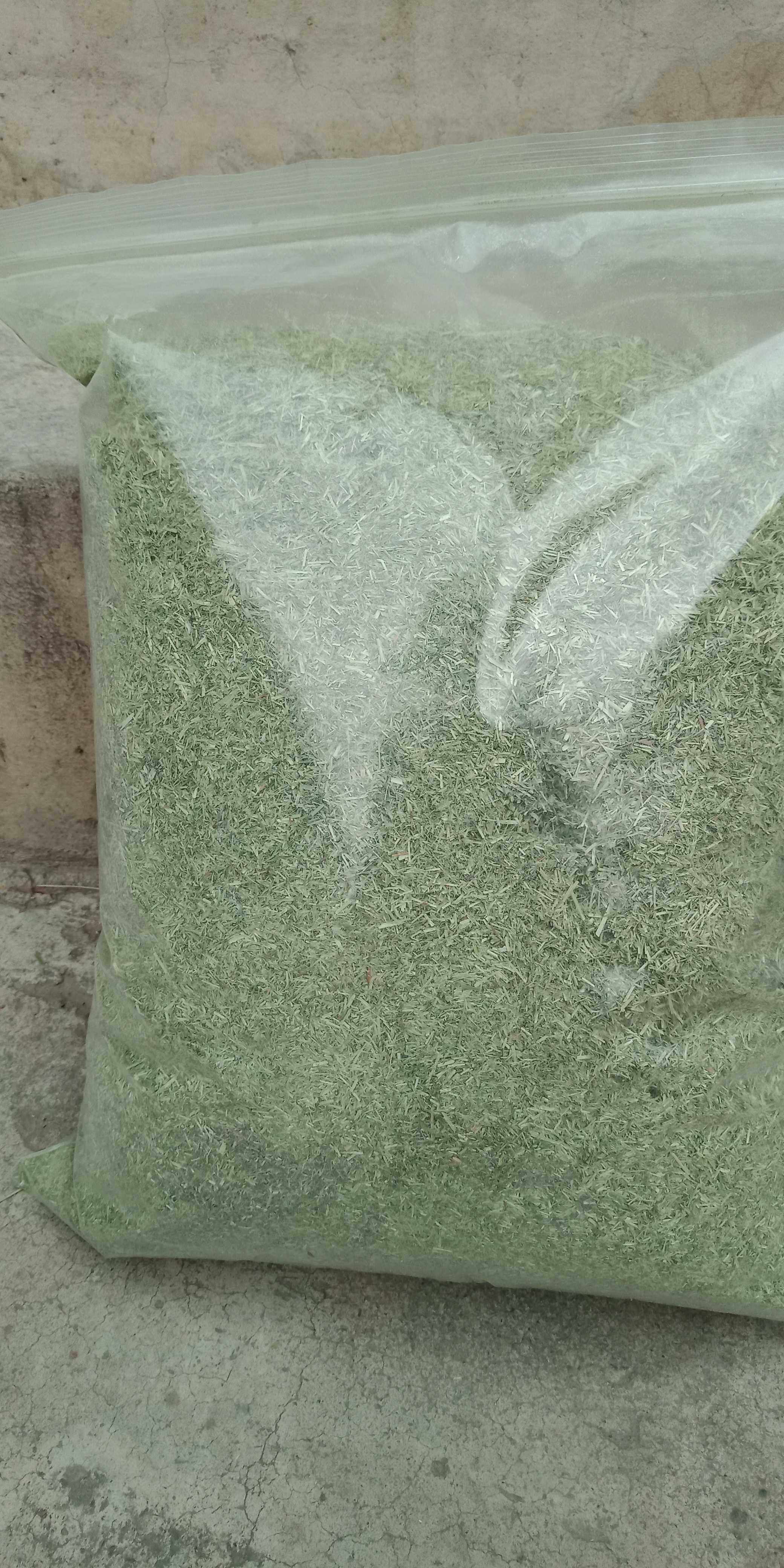 Tim 0085 Powder 🌿 Timothy grass powder 2kg pack, a good choice for pet rabbits’ nutrition 🐰