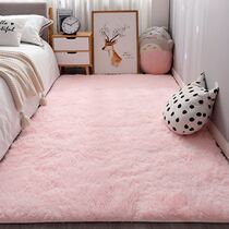 Girl pink ins carpet bedroom bedside blanket full of cute princess room net red with the same bed under the bed