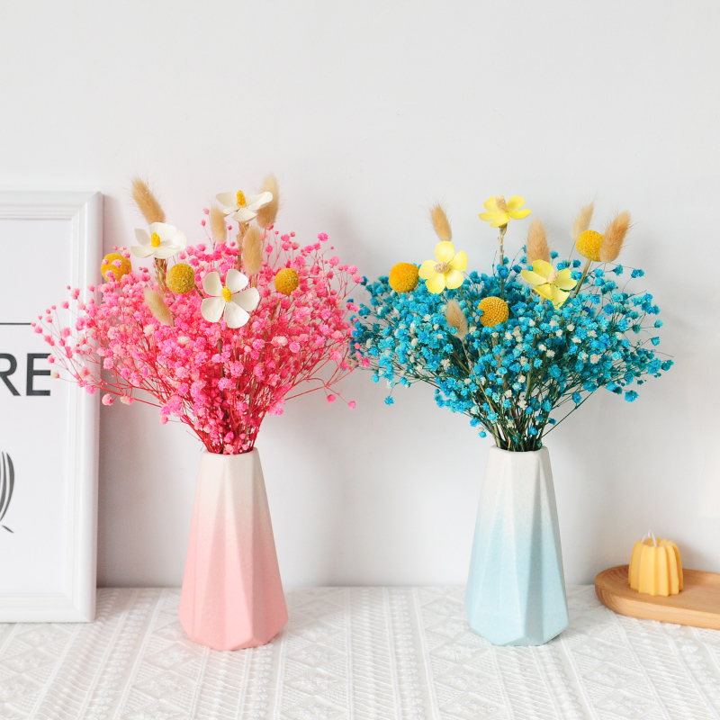 ins wind Nordic ceramic vase swing piece living-room dry flower mesh red small vase hydropony minimalist Decorative Tabletop Flower Arrangement