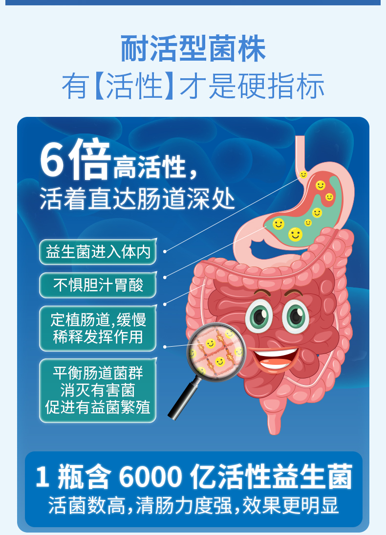 莱特维健调理肠胃成人益生菌粉胶囊60粒