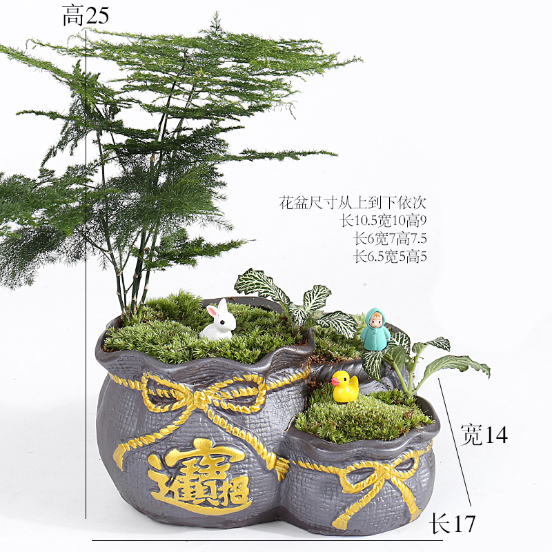 Large green asparagus creative move, lovely jiangnan water flowerpot ceramic purple small house more meat meat the plants