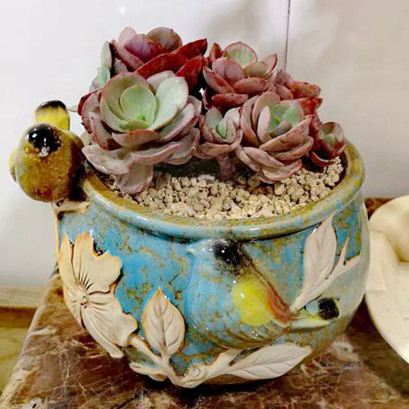 Butterfly furnishing articles of large diameter high cliff old black mage, fleshy running the green flowerpot ceramic landscape the plants potted the plants