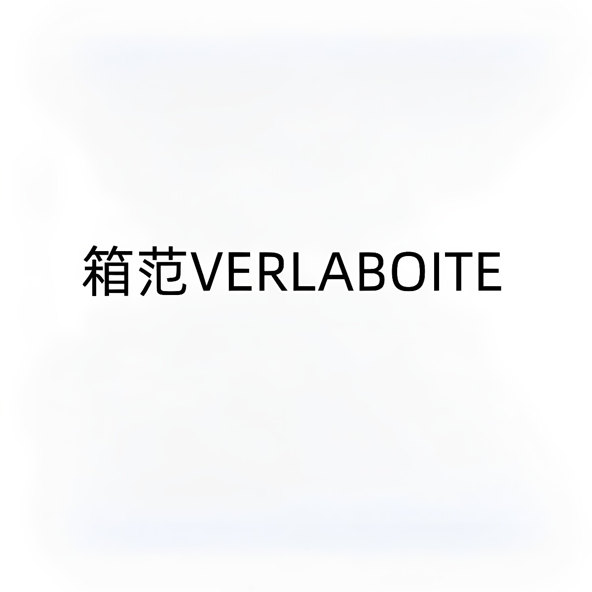 箱范 VERLABOITE箱包的LOGO