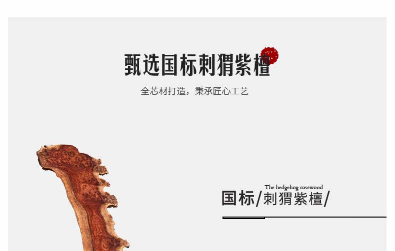 Подробная информация о TM Midfield_09.jpg