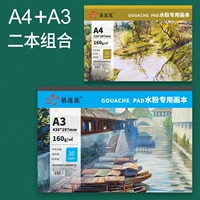 По одной книжке гуаши А3+А4.