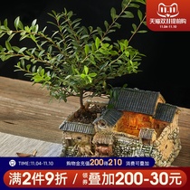 Creative pastoral retro flowerpot bamboo micro landscape multi-meat ornaments personalized potted balcony layout bonsai decorations