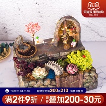 Creative with lamp multi-meat flowerpot Japanese personalized meat potted flower device combination platter large caliber Balcony decoration