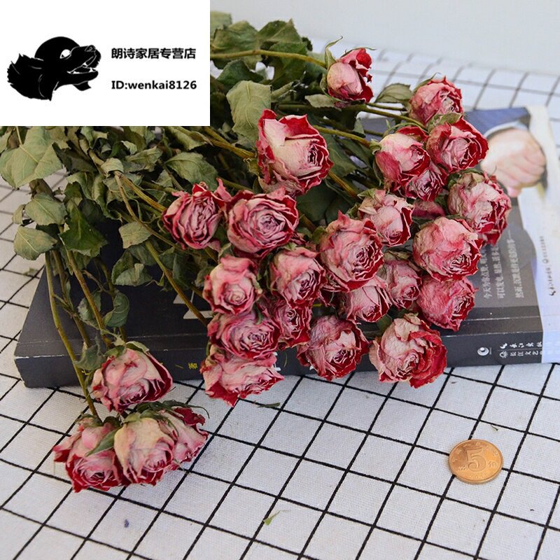 薔薇花乾燥花多頭小玫瑰乾燥花花束雲南天然真花玫瑰花家居裝飾插花