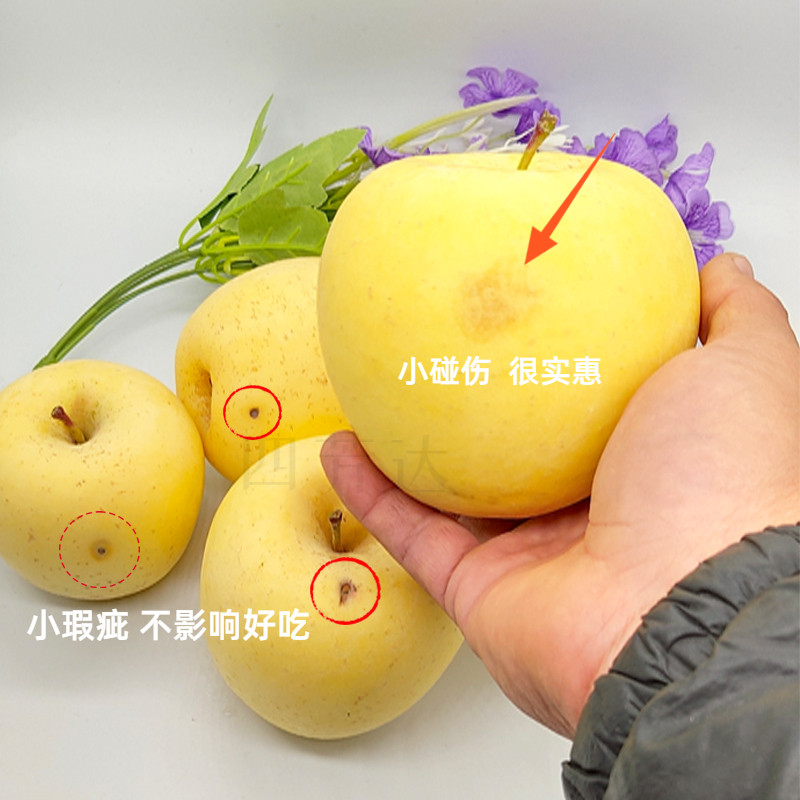 苹果的秘密花园：不仅仅是水果