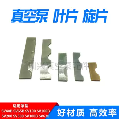 LEYBOLD vacuum pump rotary vane LEYBOLD mechanical pump blade SV100200 Scraper 300SV630D16 SV65B