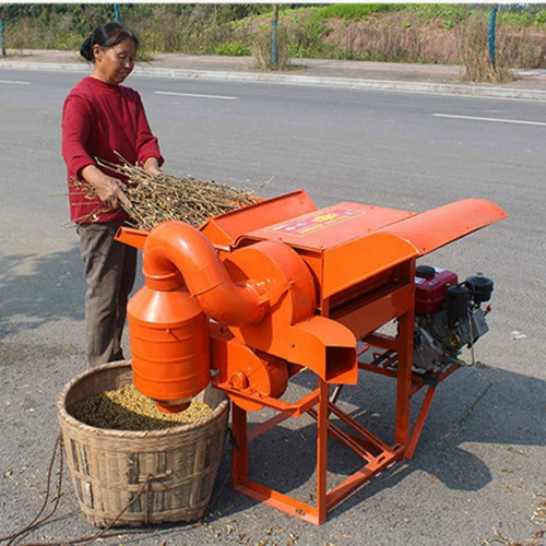 Horikaeuts, рис, рапс, соевые сои соевые сои.