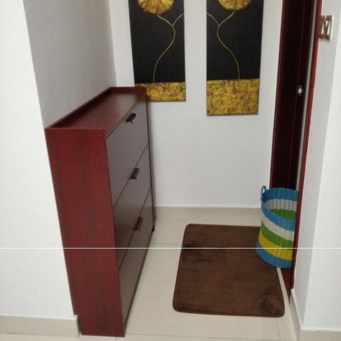 New minimalist modern ultra-thin tipping door hall 17cm solid wood cabinet Xuanguan storage anti-dust red shoes cabinet color shoe rack Easy group