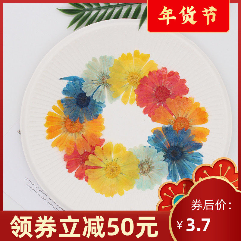 Calendula dry flower embossed flower real flower specimen handmade glue mobile phone Protective case scented candle bookmark photo frame material