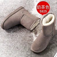 5825 Цвет чая с молоком