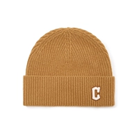 Кливлендский индийский народ/верблюд/верблюд