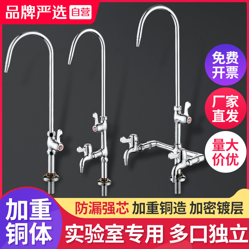 Laboratory faucet brass higher education school experimental laboratory two or three three-port faucet water nozzle special