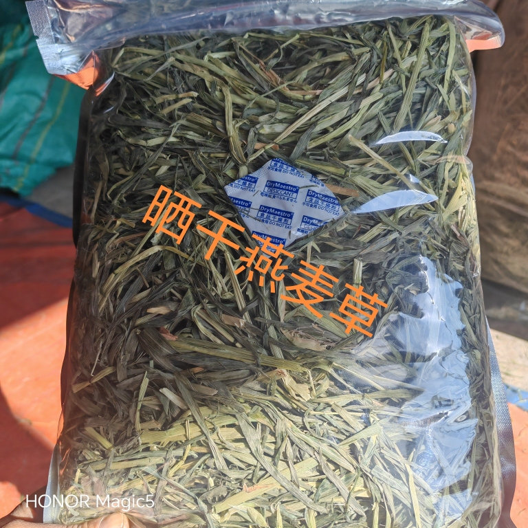 2025 New Sun-Dried Domestic Green Oat Grass Pet Pasture Rabbit Chinchilla Guinea Pig Hamster Staple Food Feed Teeth Grinding