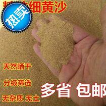 River sand flowers are planted with sand to grow flowers. Household turtles sleep and hatch eggs. Fish tank. Aquarium landscaping sand. Yellow sand construction.