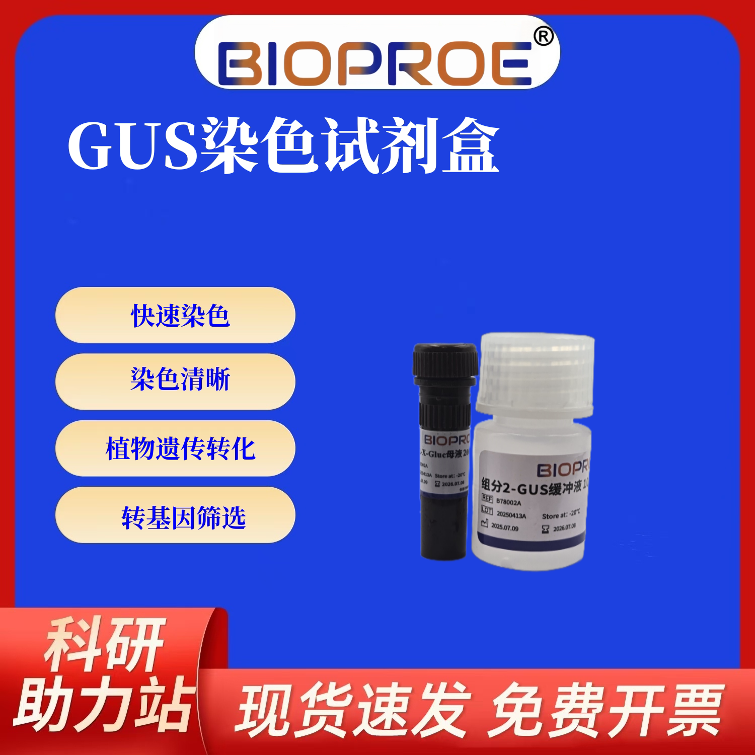 GUS染色试剂盒X-Gluc为底物&beta; - 葡萄糖醛酸酶植物即用型染色液